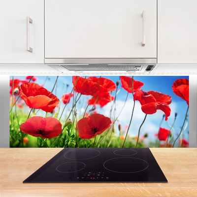 Painel vidro cozinha Papoulas Plantam Natureza