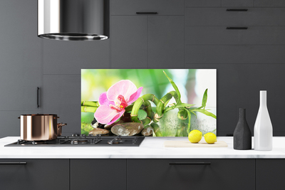 Painel cozinha Caule de bambu planta natureza