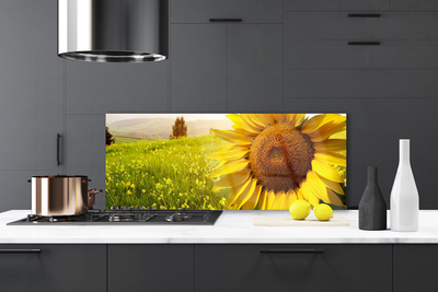 Painel vidro cozinha Planta de flor de girassol