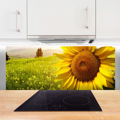 Painel vidro cozinha Planta de flor de girassol