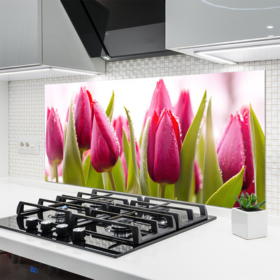 Painel vidro cozinha Tulipas Flores Planta