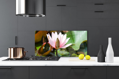 Painel vidro cozinha Flor Planta Natureza