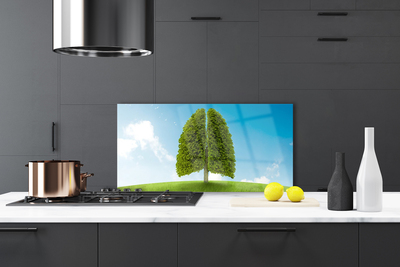 Painel cozinha Grama Árvore Pulmão Natureza