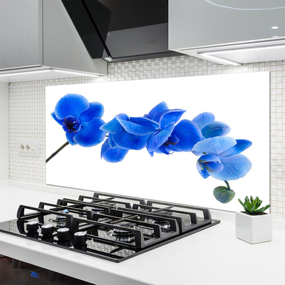 Painel vidro cozinha Flor Planta Natureza