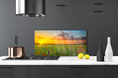 Painel vidro cozinha Sun Meadow Flores Natureza