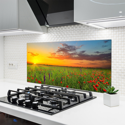 Painel vidro cozinha Sun Meadow Flores Natureza