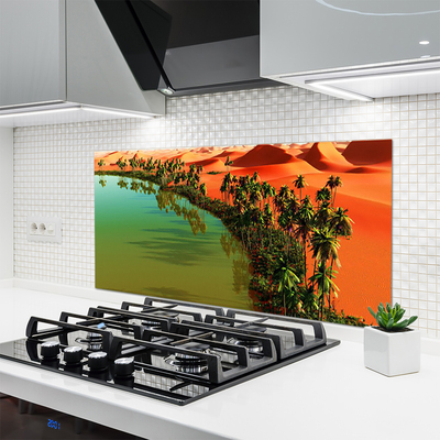 Painel vidro cozinha Lago Palm Desert