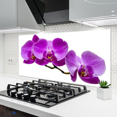Painel vidro cozinha Flores Planta Natureza