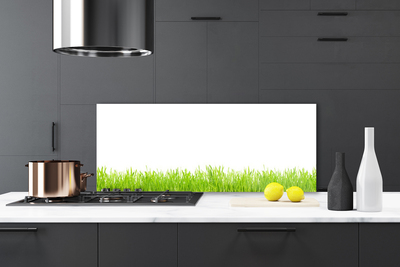 Painel cozinha Natureza da planta grama