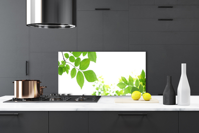 Painel vidro cozinha Pétalas Planta Natureza