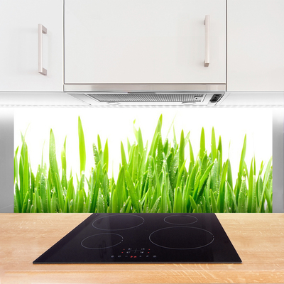 Painel vidro cozinha Natureza da planta grama