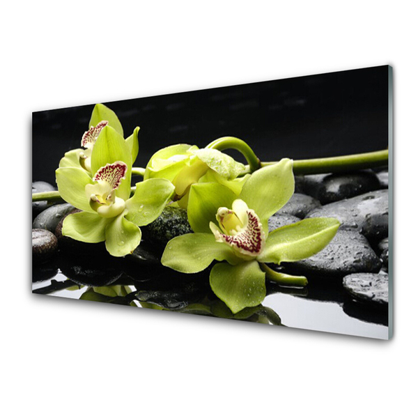 Painel cozinha Planta de orquídea flor