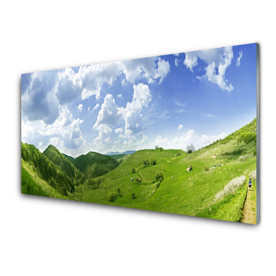 Painel vidro cozinha Campo Natural de Mountain Meadow