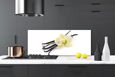 Painel vidro cozinha Flor Planta Natureza