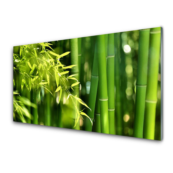 Painel vidro cozinha Planta de folhas de bambu