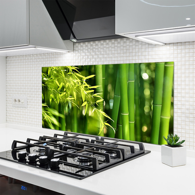 Painel vidro cozinha Planta de folhas de bambu