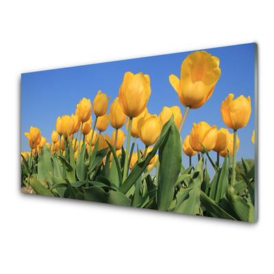 Painel vidro cozinha Tulipas Flores Planta