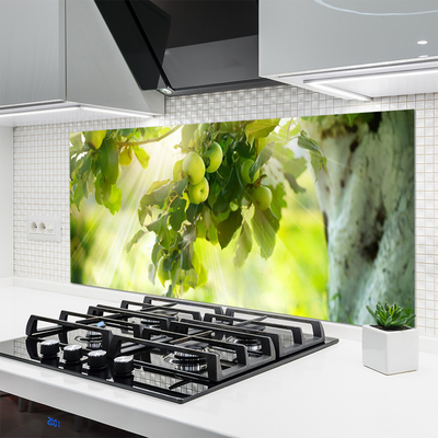 Painel vidro cozinha Maçãs Galho Árvore Natureza