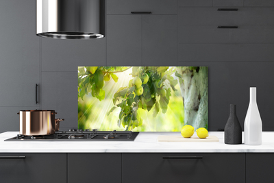Painel vidro cozinha Maçãs Galho Árvore Natureza
