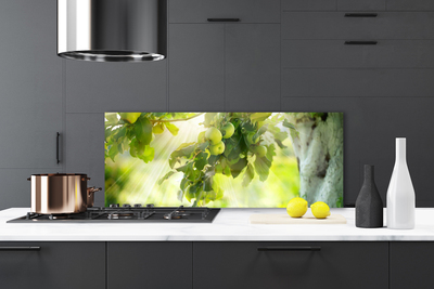Painel vidro cozinha Maçãs Galho Árvore Natureza