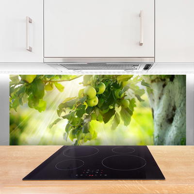Painel vidro cozinha Maçãs Galho Árvore Natureza