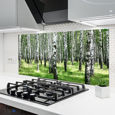 Painel vidro cozinha Planta de grama florestal Natureza