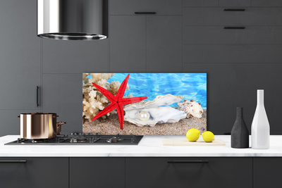 Painel cozinha Conchas de estrelas do mar Natureza