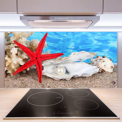 Painel cozinha Conchas de estrelas do mar Natureza
