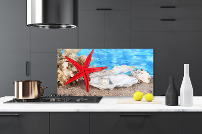Painel cozinha Conchas de estrelas do mar Natureza