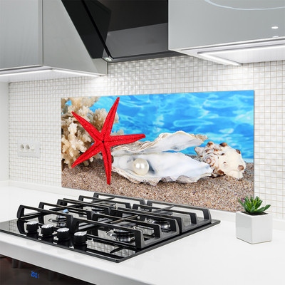 Painel cozinha Conchas de estrelas do mar Natureza