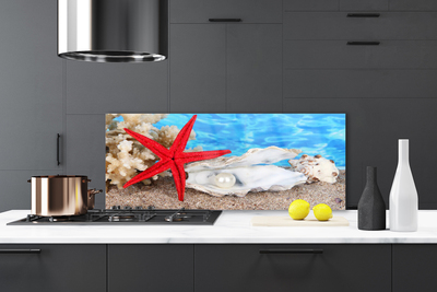 Painel cozinha Conchas de estrelas do mar Natureza