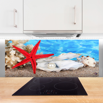Painel cozinha Conchas de estrelas do mar Natureza