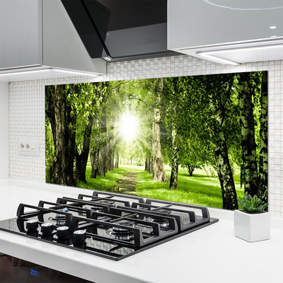 Painel vidro cozinha Caminho do Sol na Floresta Natureza