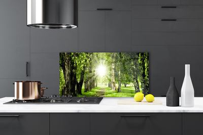 Painel vidro cozinha Caminho do Sol na Floresta Natureza