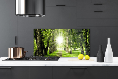 Painel vidro cozinha Caminho do Sol na Floresta Natureza