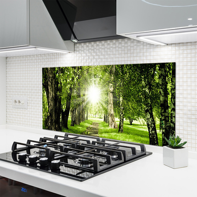 Painel vidro cozinha Caminho do Sol na Floresta Natureza