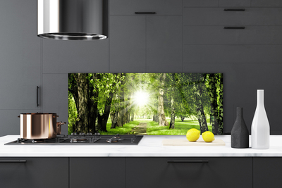 Painel vidro cozinha Caminho do Sol na Floresta Natureza