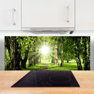 Painel vidro cozinha Caminho do Sol na Floresta Natureza