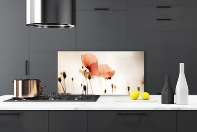 Painel vidro cozinha Papoulas Plantam Natureza