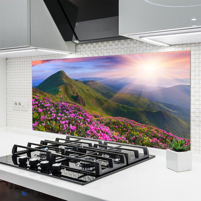 Painel vidro cozinha Montanhas Prado Flores Paisagem