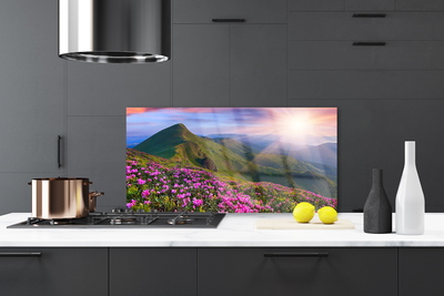 Painel vidro cozinha Montanhas Prado Flores Paisagem