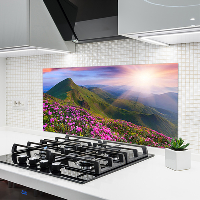 Painel vidro cozinha Montanhas Prado Flores Paisagem