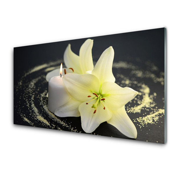 Painel cozinha Flor Planta Natureza
