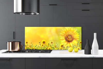 Painel vidro cozinha Planta de flor de girassol