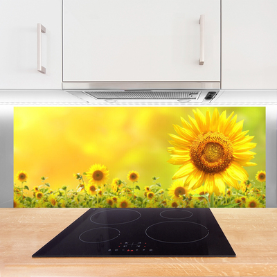 Painel vidro cozinha Planta de flor de girassol