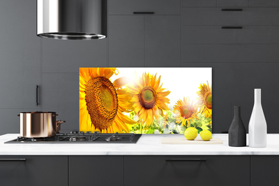 Painel cozinha Planta de flor de girassol
