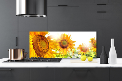 Painel cozinha Planta de flor de girassol