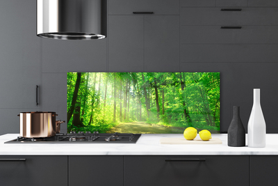 Painel vidro cozinha Caminho na floresta Árvores Natureza