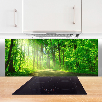Painel vidro cozinha Caminho na floresta Árvores Natureza