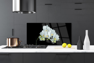 Painel cozinha Flores Planta Natureza